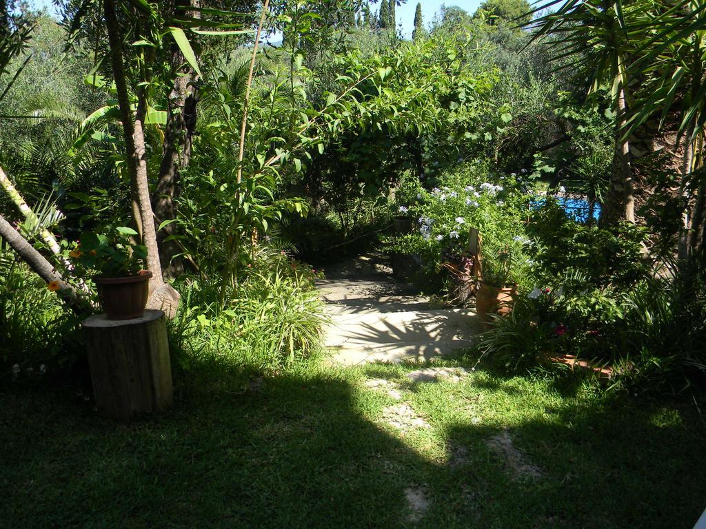 Villa Efterpi Kontokali Eksteriør billede
